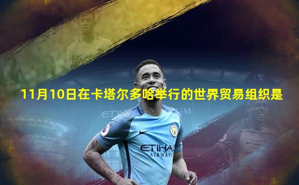 11月10日在卡塔尔多哈举行的世界贸易组织是
