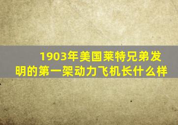 1903年美国莱特兄弟发明的第一架动力飞机长什么样