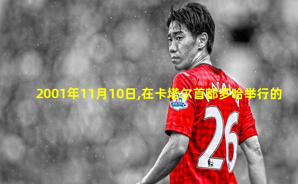 2001年11月10日,在卡塔尔首都多哈举行的