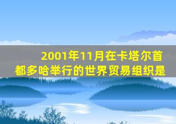 2001年11月在卡塔尔首都多哈举行的世界贸易组织是