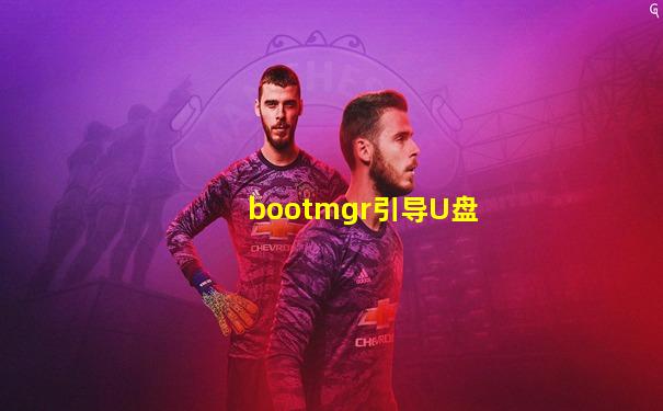 bootmgr引导U盘