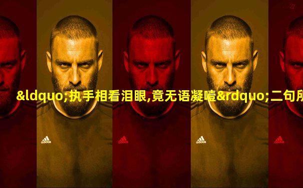“执手相看泪眼,竟无语凝噎”二句所属的词牌名是
