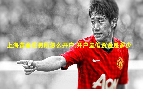 上海黄金交易所怎么开户,开户最低资金是多少