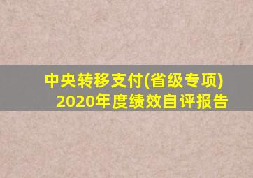 中央转移支付(省级专项)2020年度绩效自评报告