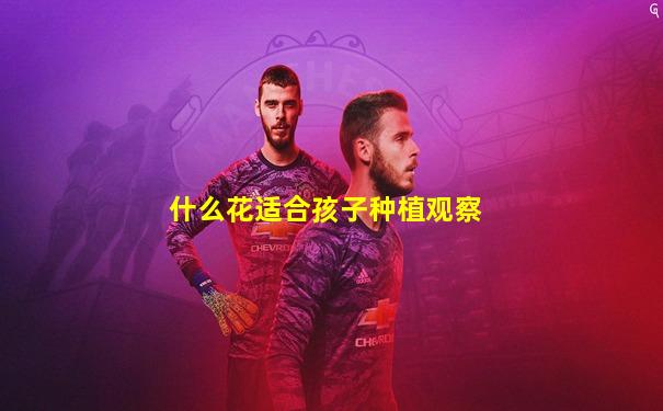 什么花适合孩子种植观察