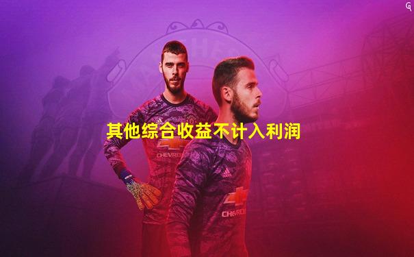 其他综合收益不计入利润