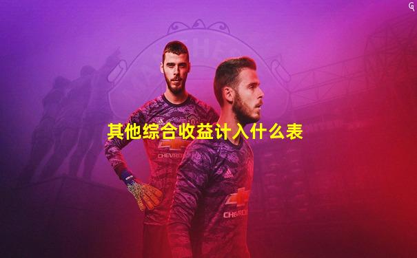 其他综合收益计入什么表