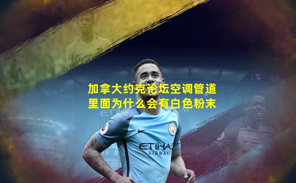 加拿大约克论坛空调管道里面为什么会有白色粉末