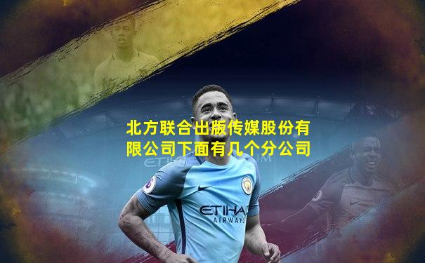 北方联合出版传媒股份有限公司下面有几个分公司