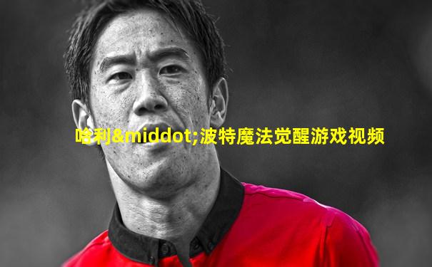 哈利·波特魔法觉醒游戏视频