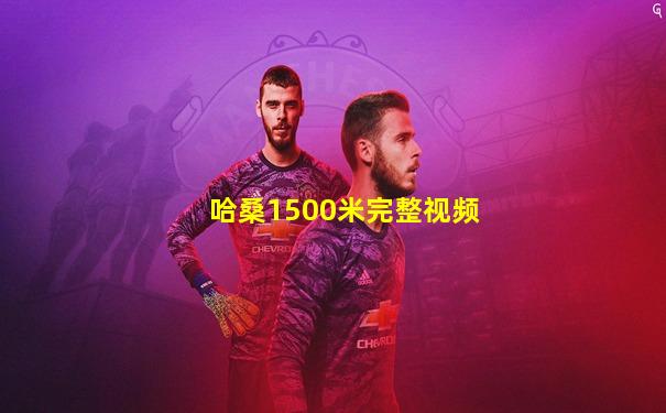 哈桑1500米完整视频
