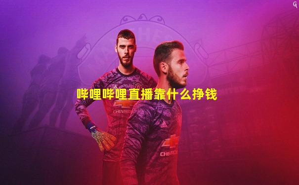 哔哩哔哩直播靠什么挣钱