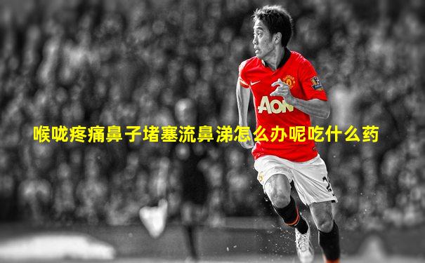 喉咙疼痛鼻子堵塞流鼻涕怎么办呢吃什么药
