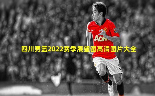 四川男篮2022赛季展望图高清图片大全