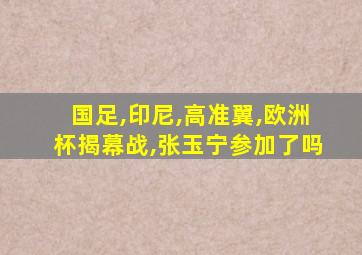 国足,印尼,高准翼,欧洲杯揭幕战,张玉宁参加了吗