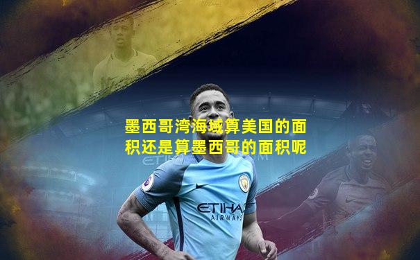 墨西哥湾海域算美国的面积还是算墨西哥的面积呢
