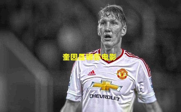 奎因是哪部电影