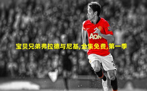 宝贝兄弟弗拉德与尼基,全集免费,第一季