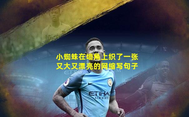小蜘蛛在墙角上织了一张又大又漂亮的网缩写句子