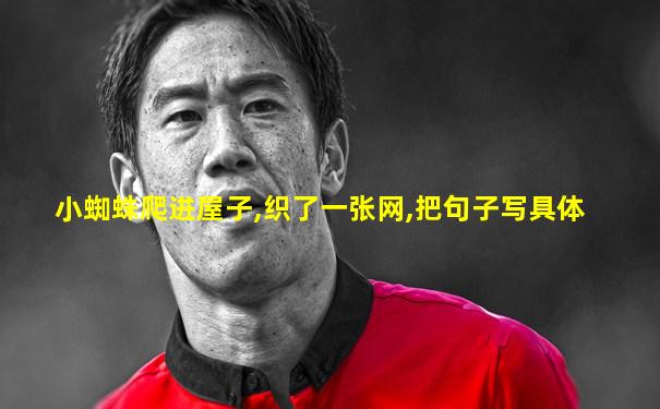 小蜘蛛爬进屋子,织了一张网,把句子写具体