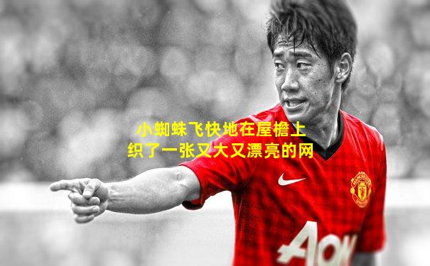 小蜘蛛飞快地在屋檐上织了一张又大又漂亮的网