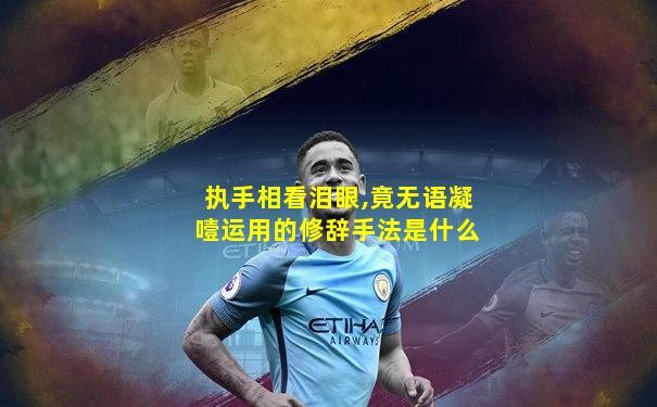 执手相看泪眼,竟无语凝噎运用的修辞手法是什么