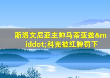 斯洛文尼亚主帅马蒂亚兹·科克被红牌罚下