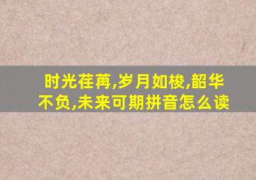 时光荏苒,岁月如梭,韶华不负,未来可期拼音怎么读