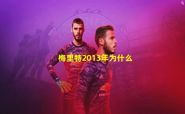 梅里特2013年为什么