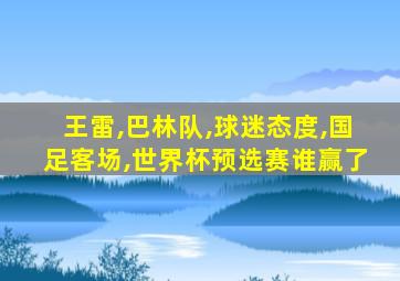 王雷,巴林队,球迷态度,国足客场,世界杯预选赛谁赢了
