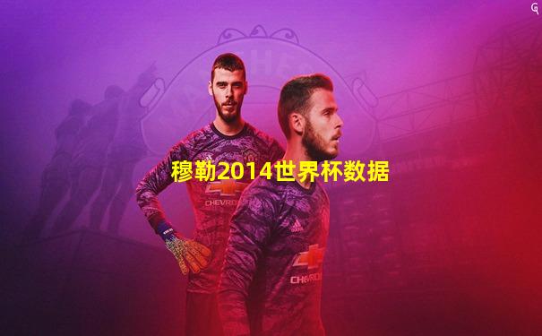 穆勒2014世界杯数据