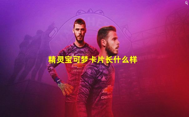 精灵宝可梦卡片长什么样