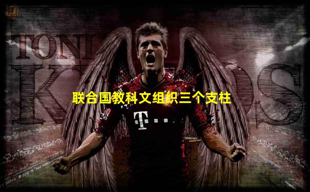 联合国教科文组织三个支柱