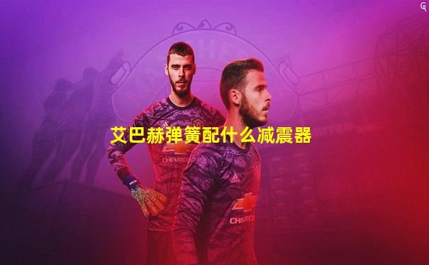 艾巴赫弹簧配什么减震器