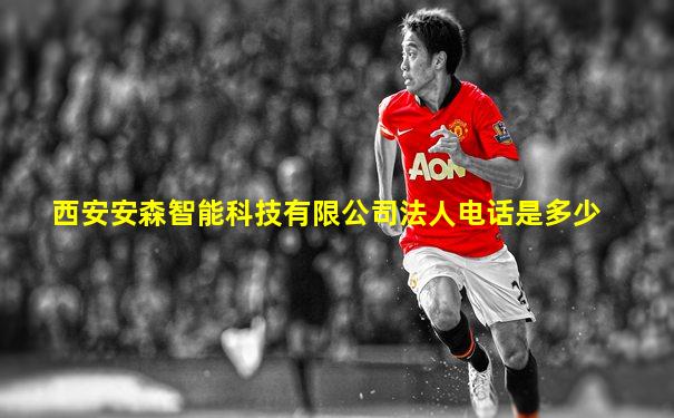 西安安森智能科技有限公司法人电话是多少