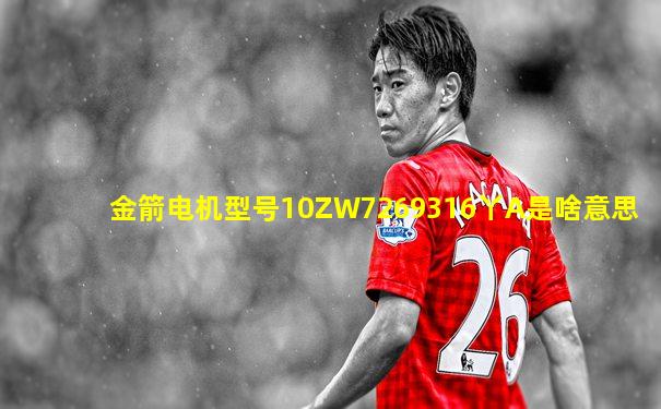金箭电机型号10ZW7269316丫A是啥意思