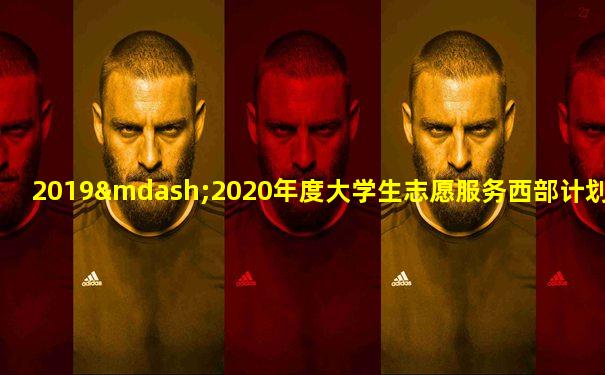 2019—2020年度大学生志愿服务西部计划实施方案