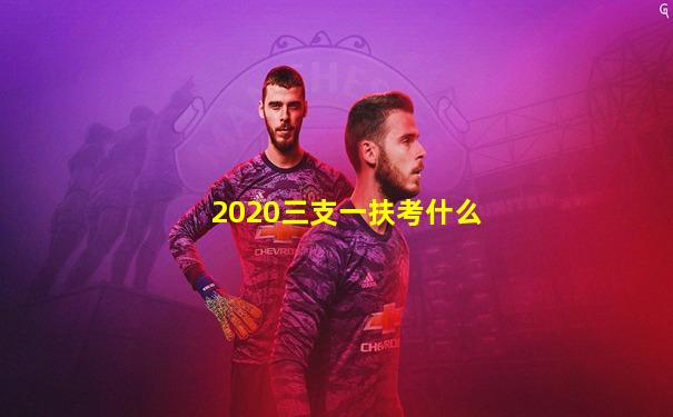 2020三支一扶考什么