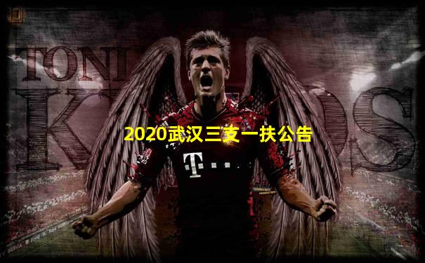 2020武汉三支一扶公告