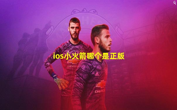 ios小火箭哪个是正版