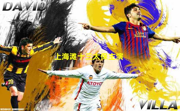 上海滩十三太保主演