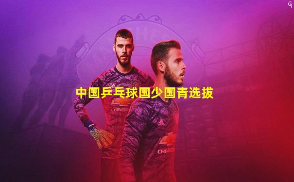 中国乒乓球国少国青选拔