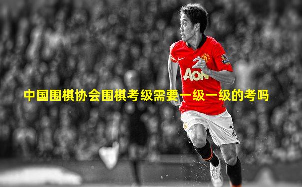 中国围棋协会围棋考级需要一级一级的考吗
