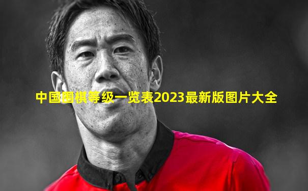 中国围棋等级一览表2023最新版图片大全