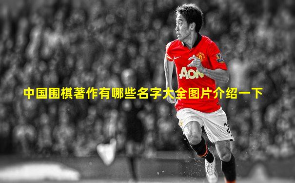 中国围棋著作有哪些名字大全图片介绍一下