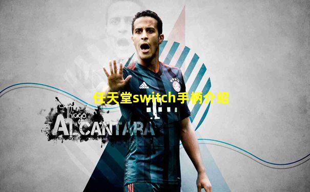 任天堂switch手柄介绍