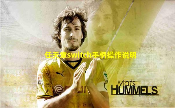 任天堂switch手柄操作说明