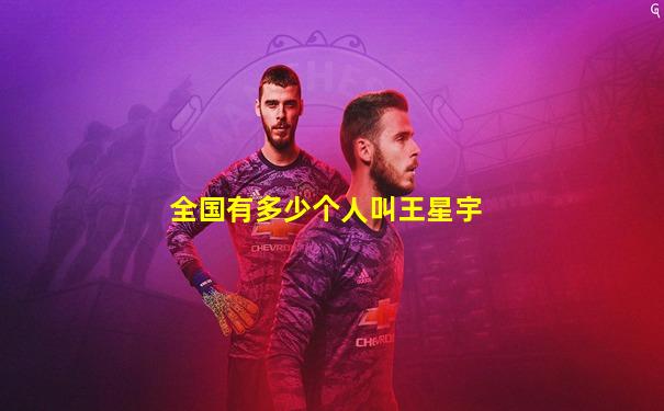 全国有多少个人叫王星宇