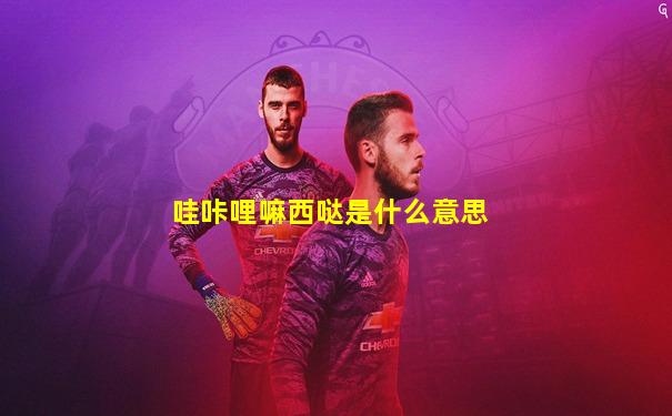 哇咔哩嘛西哒是什么意思