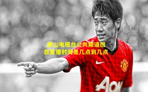 唐山电视台公共频道回放直播时间是几点到几点